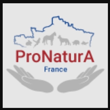 Récente victoire de Pronatura en faveur des éleveurs amateurs d’animaux de basse-cour